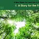 A Story for the Future A Story for the Future
