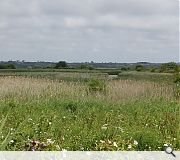 Residents are understandably overjoyed to have traded the former landfill for a new beauty spot 