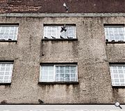 Pigeon fanciers may find much to admire but Denny town centre offers scant attraction to shoppers