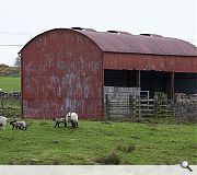 This dilapidated hay shed has become an unlikely attraction