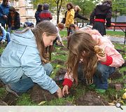 Pupils get in on the act, planting root vegetables in the school garden