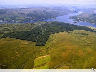 Bute islanders see wood in the trees with land purchase