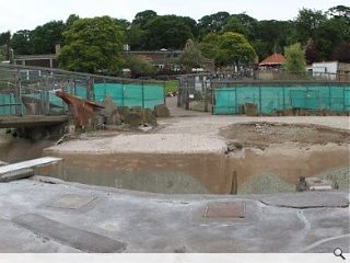 Edinburgh Zoo launches Penguins Rock appeal