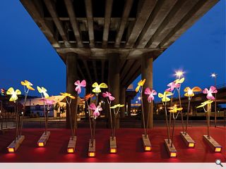 Phoenix Flowers bed down at Garscube Link