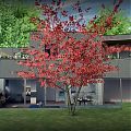 Replacement barrier-free home planned for secluded Edinburgh lane Replacement barrier-free home planned for secluded Edinburgh lane