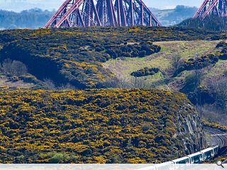 Caledonian Sleeper service beds down with refreshed carriages