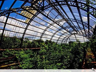 Architect sought for Springburn Winter Gardens restoration