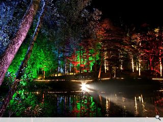 Enchanted Forest festival ends on a bright note