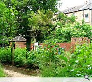 An overgrown wasteland in East Pollockshields has been transformed into a verdant garden