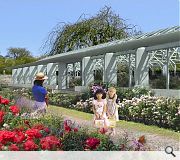 A new winter garden will be created within the park