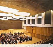 A 600 seat auditorium sits at the heart of the scheme