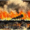 Fiery watercolours document apocalyptic scenes from Hollywood to the Highlands