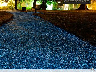 Cambridge trials solar powered glow in the dark pavement