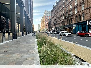 Rain garden rolls out the green carpet for an Argyle Street bank