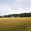 Farmhouse & office proposed for Kirkliston woodland Farmhouse & office proposed for Kirkliston woodland