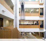 Two full size figures composed of MRI scans by well known UK artist Marilene Oliver and a light work based on the Hippocratic Oath by Ron Haseldon are suspended in the atrium space. 