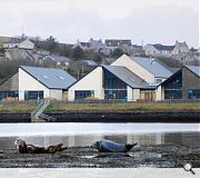 Pupils will be able to keep an eye on basking seals from their desks; not your typical classroom view