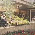 Perth charity pivots to the city centre for a new care hub Perth charity pivots to the city centre for a new care hub