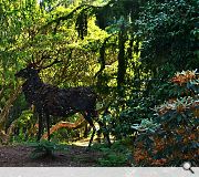 A life-size stag sculpture has been erected using nothing but the leaves of Arran Whitebeam and bracken