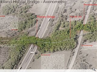 Euan Maharg wins Seven Lochs green bridge competition