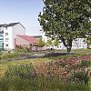 Microhub to increase the vitality of Wester Hailes 