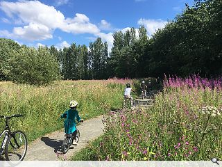 Toryglen woodland retreat takes root