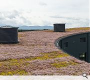 Pollinating bees have already moved into the new distillery