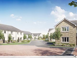 Birds & the bees to find a home at biodiverse Cowie housing estate