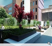 A central amenity deck will provide valuable outdoor amenity space for tenants